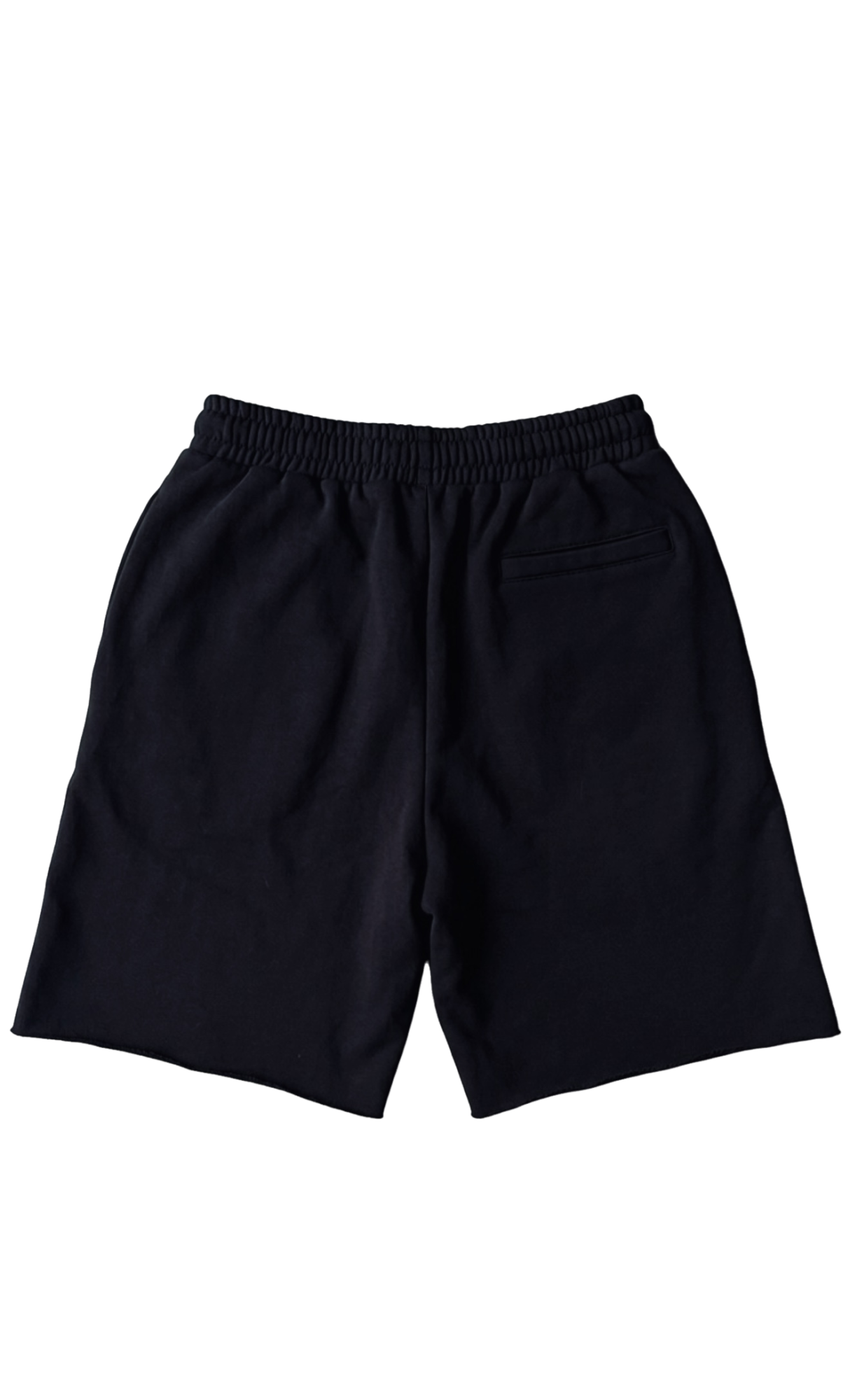 I-96 Shorts